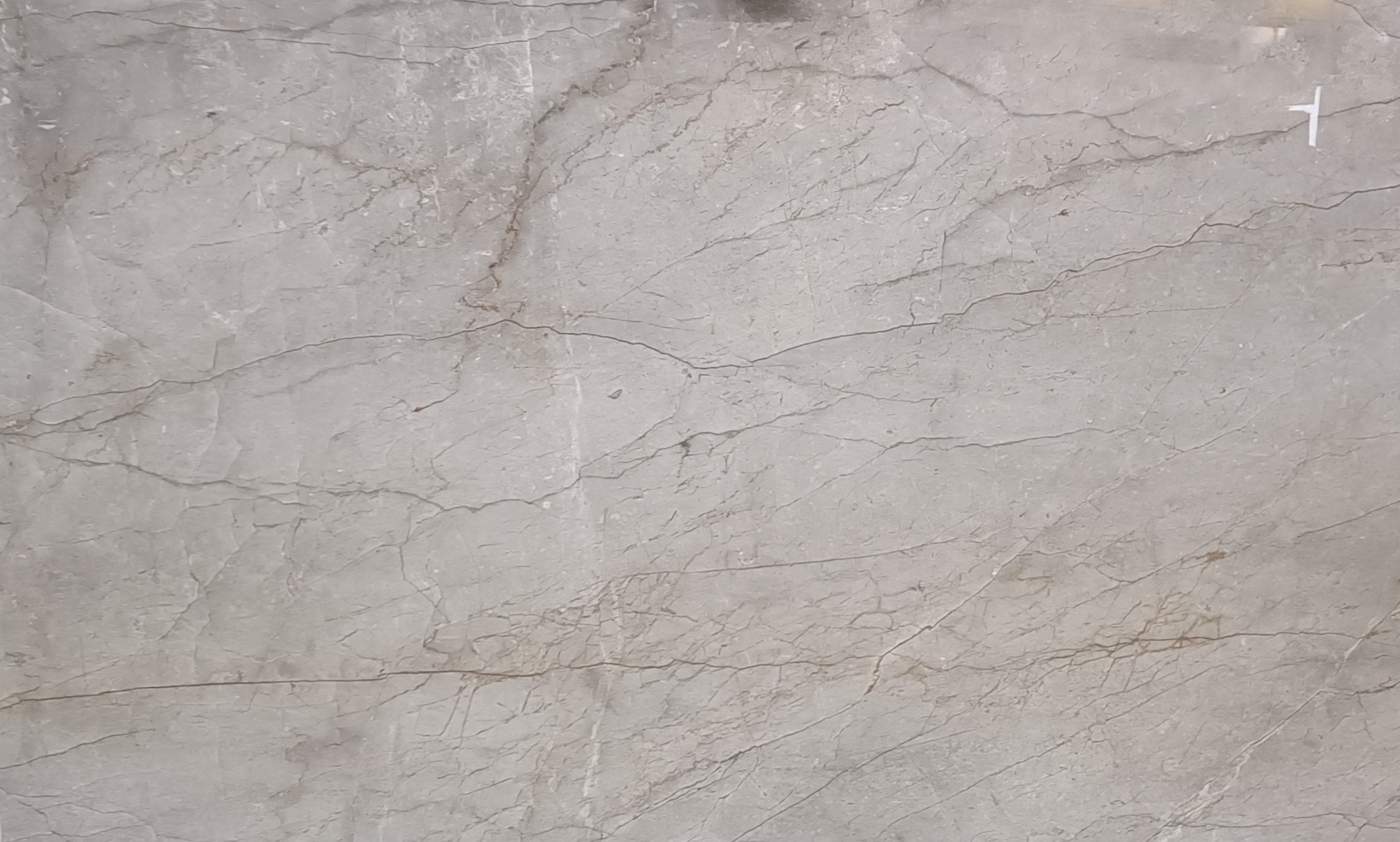 Afyon White 4